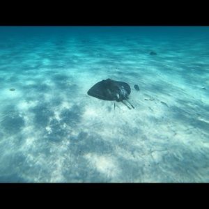 Meet your Posher, Brenda